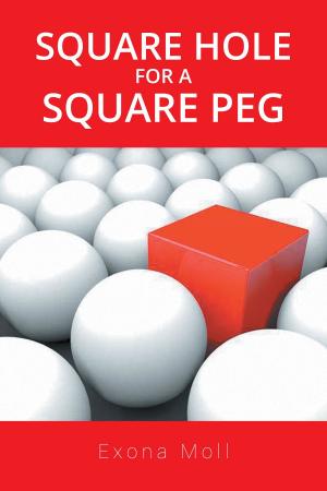 Cover of the book Square Hole for a Square Peg by Mark  W. Laughlin