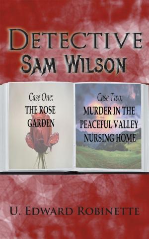 Cover of the book Detective Sam Wilson by Hilary Smith