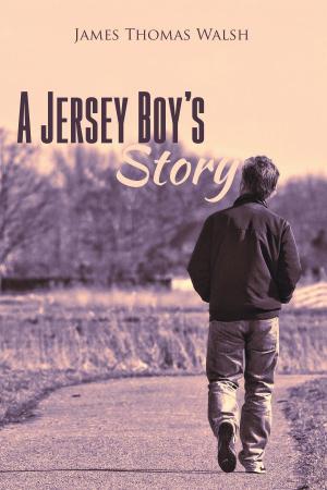 bigCover of the book A Jersey Boy's Story by 