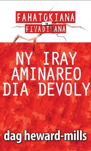 bigCover of the book Ny Iray Aminareo Dia Devoly by 