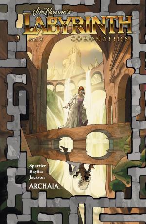 Cover of the book Jim Henson's Labyrinth: Coronation #3 by Richard Marazano