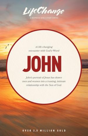 Cover of the book John by Dan Allender
