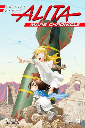 Cover of Battle Angel Alita Mars Chronicle 3