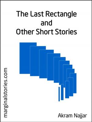 Cover of the book The Last Rectangle and other Short Stories by Anda Vranjes