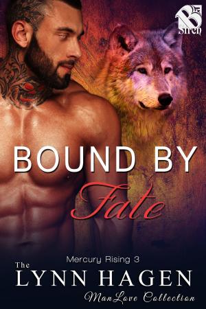 bigCover of the book Bound by Fate by 