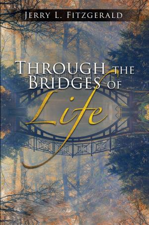 Cover of the book Through the Bridges of Life by Lilian White