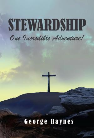Cover of the book Stewardship by M. T. Al-Mansouri