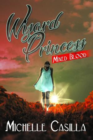 Cover of the book Wizard Princess by David Lawlor