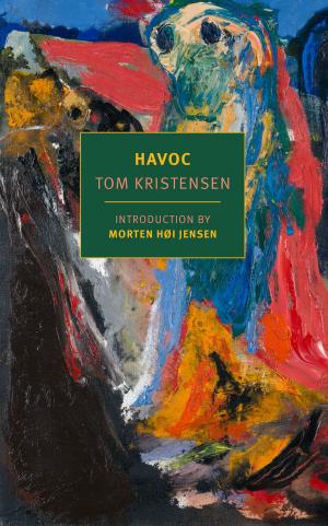 Cover of the book Havoc by Sybille Bedford, Daniel Mendelsohn