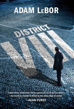 Cover of the book District VIII: A Thriller by Mark Rowlands