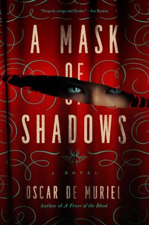 Cover of the book A Mask of Shadows: A Novel (A Frey & McGray Mystery) by R. B. Chesterton