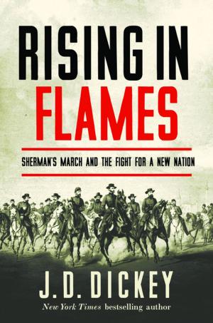 Cover of the book Rising in Flames: Sherman's March and the Fight for a New Nation by John Armstrong