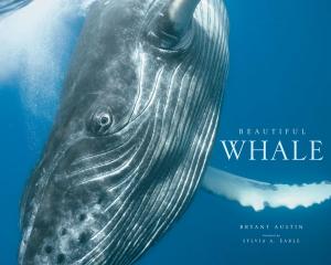 Cover of the book Beautiful Whale by Lisa Greenwald