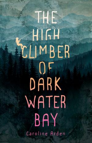 Cover of the book The High Climber of Dark Water Bay by J. Randy Wilson