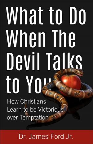 Cover of the book What to Do When The Devil Talks to You by Brian Wright