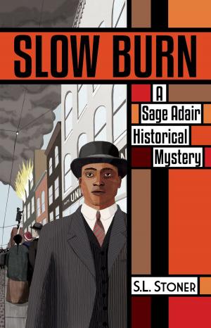 Cover of the book Slow Burn by Lucy Appadoo