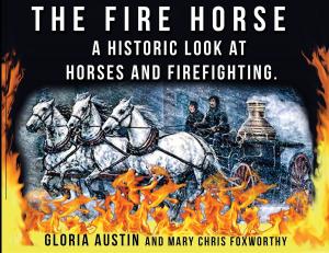 Book cover of The Fire Horse