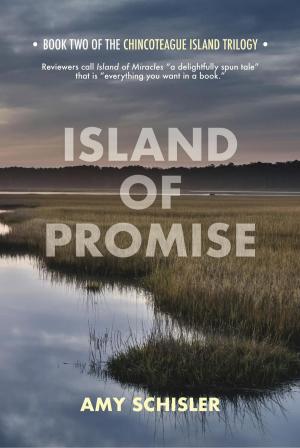 Book cover of Island of Promise