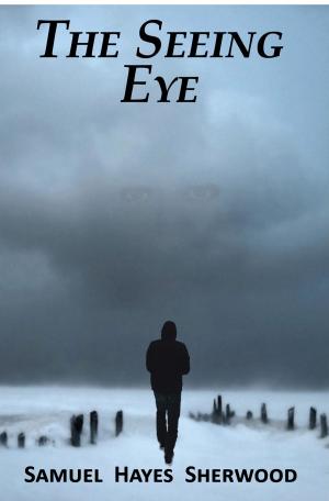Book cover of The Seeing Eye