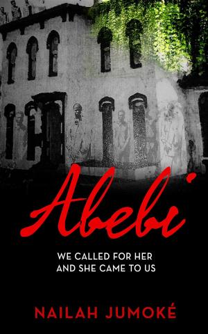 Cover of the book Abebi by TJ Burns