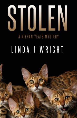 Cover of the book Stolen by Jeanne Glidewell