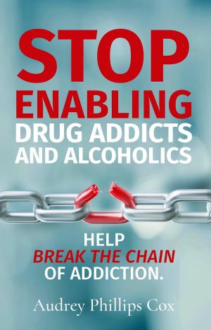 Cover of Stop Enabling Drug Addicts and Alcoholics