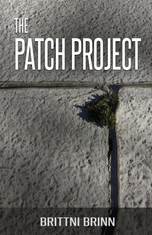 Cover of the book The Patch Project by Michael Prelee