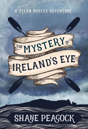 Cover of the book The Mystery of Ireland's Eye by Jamie Fitzpatrick