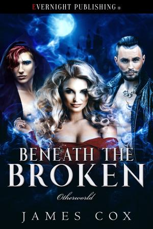 bigCover of the book Beneath the Broken by 
