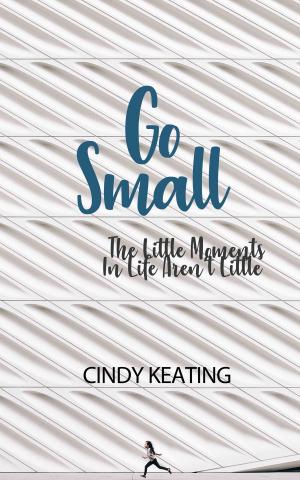 Cover of Go Small