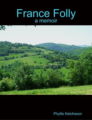 Cover of the book France Folly (a Memoir) by O. Ross McIntyre