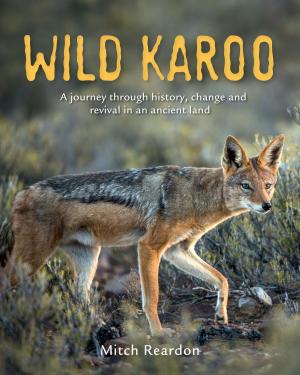 Cover of the book Wild Karoo by Willie Olivier
