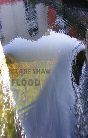 Cover of the book Flood by Clare Pollard