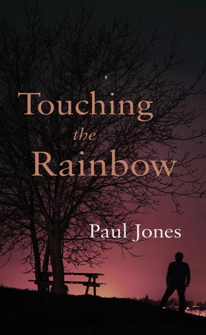 Cover of the book Touching the Rainbow by Tim Murgatroyd
