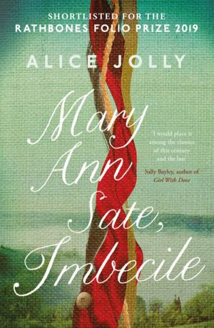 Cover of the book Mary Ann Sate, Imbecile by Jem Roberts