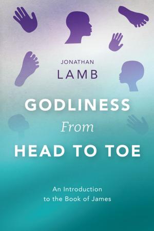 Cover of the book Godliness from Head to Toe by Rupen Das, Brent Hamoud