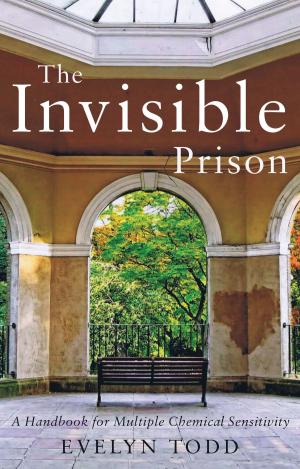 Cover of the book The Invisible Prison by Beverley Elphick