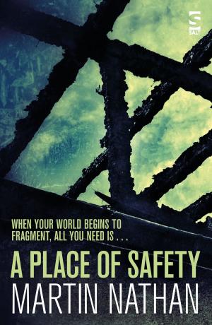 Cover of the book A Place of Safety by Padrika Tarrant