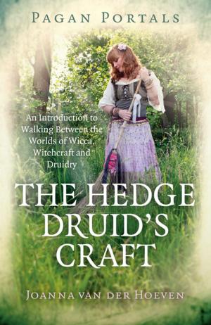 Book cover of Pagan Portals - The Hedge Druid's Craft