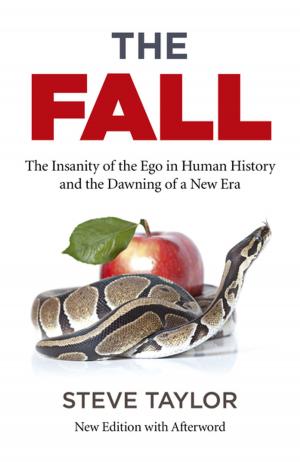 Cover of the book The Fall by Mary English