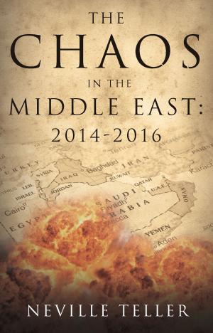 Cover of the book The Chaos in the Middle East: 2014-2016 by Jane Hersey