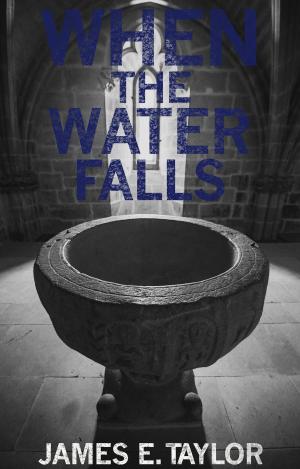 Cover of the book When the Water Falls by Patrick Moon