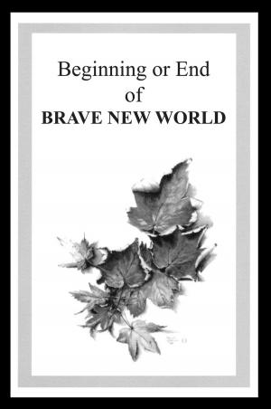 Cover of the book Beginning or End of BRAVE NEW WORLD by S C Alley