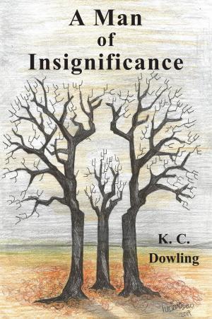 Book cover of A Man of Insignificance