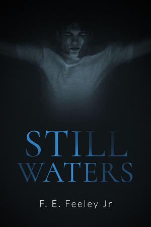 Cover of the book Still Waters by A L Wright