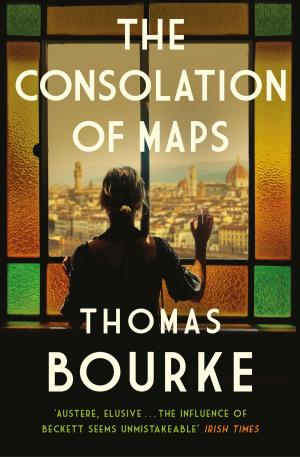 Cover of the book The Consolation of Maps by Lyuba Vinogradova