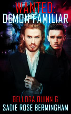 Cover of the book Demon Familiar by Nan Comargue