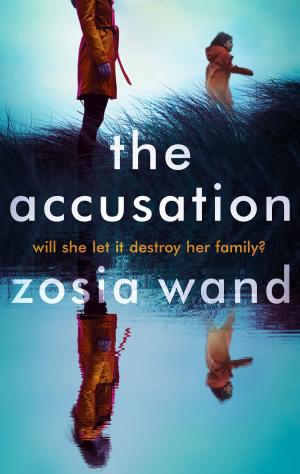 Cover of the book The Accusation by Judy Sierra