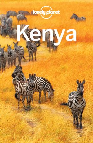 Book cover of Lonely Planet Kenya