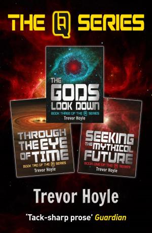 Cover of the book The Q Series by Luthie M West